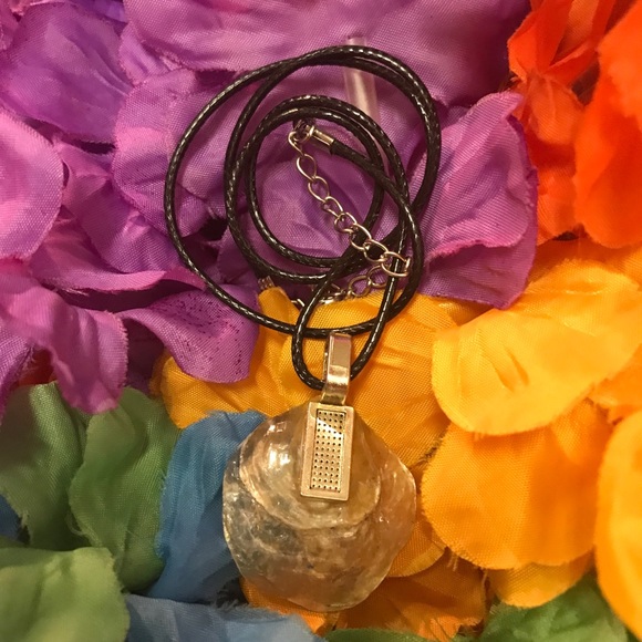 Exclusive Seashell Original Unique Rare One of a Kind Handmade Necklace - Picture 2 of 16